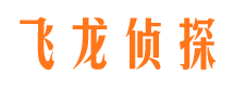 和静侦探公司